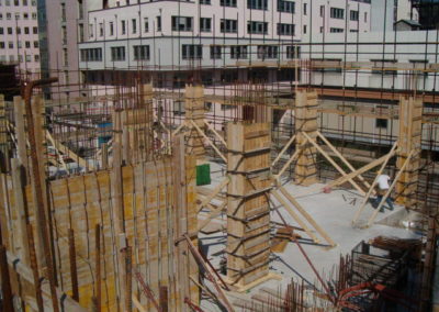 Nuova Unità Spinale Unipolare